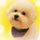 iPhone4回收价